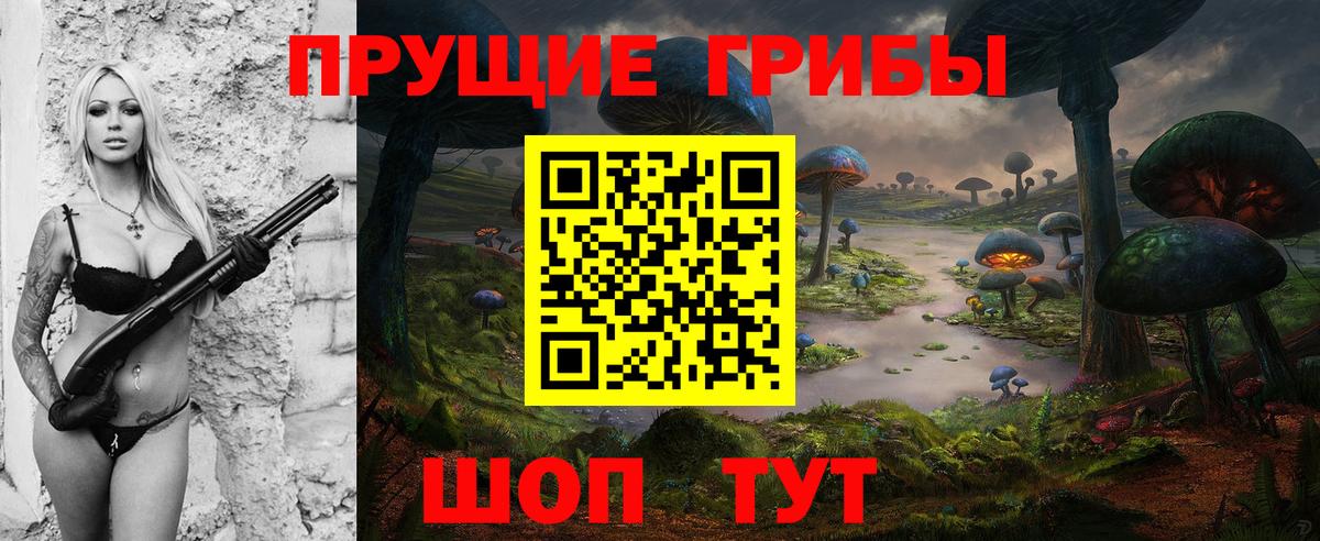Краснокаменск  Псилоцибиновые грибы ЛСД  купить наркоту  Вход с VPN 